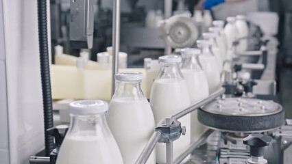 Milk bottling plant placing labels on fresh milk