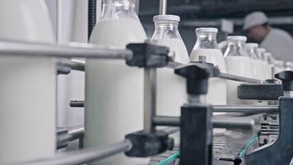 Glass bottles of milk moving on a conveyor belt in