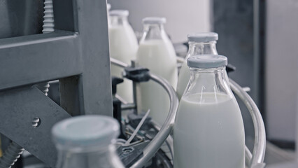 Glass bottles of milk moving on conveyor belt in