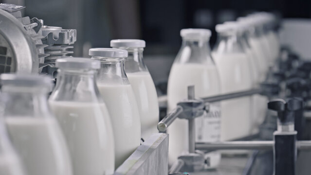 Glass bottles of milk moving on conveyor belt in