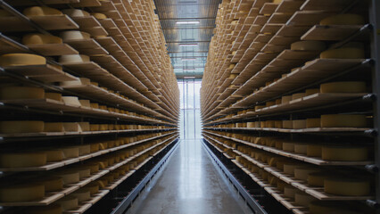 Cheese factory storing wheels of cheese aging on