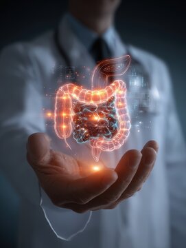 Intestine anatomy, futuristic medical concept. Ideal for healthcare, technology, and science websites.  Perfect for medical articles, presentations, and social media.