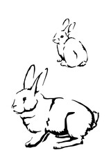 Rabbit and kit baby rabbit, farm animals, black and white light and shadow vector illustration for education materials, children book, veterinary content and farm themed content