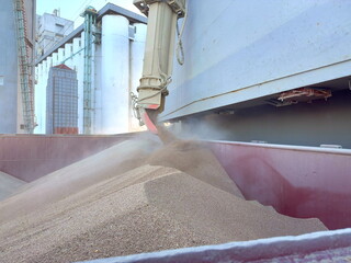 loading grain to the ship's hold by the loader
