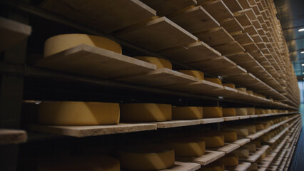 Wheels of cheese aging on wooden shelves in a