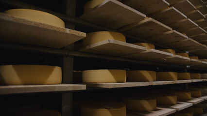 Wheels of cheese aging on wooden shelves in a