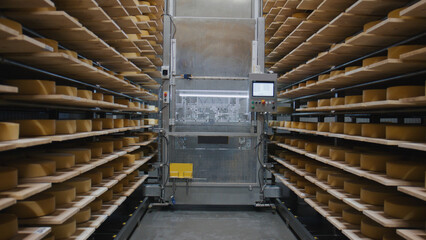 Automated machine handling cheese wheels in modern