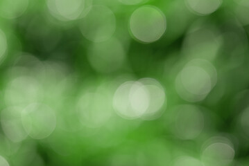 Defocus lights natural green. Defocus blurred green. Abstract natural green background.