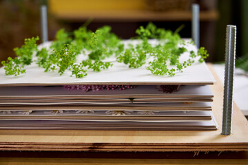 Close-up of a wooden flower press filled with layers of paper and green wildflowers. A step in...