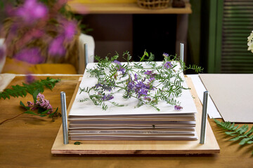 Delicate purple wildflowers arranged between sheets in a wooden flower press. A botanical drying...