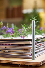 Close-up of a stacked flower press filled with layers of wildflowers and paper, showing the drying process in detail