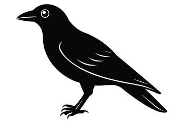 Obraz premium crow vector icon
