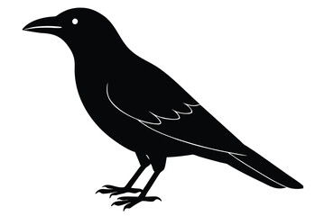 Obraz premium crow vector icon