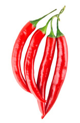 Red chili pepper isolated on transparent background. PNG format