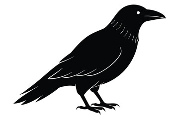 Obraz premium raven vector icon