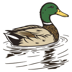 Vector Illustration of a Duck Floating on a Lake – Nature and Wildlife Scene
