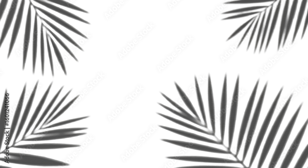 Aufkleber abstract, sharp shadows of multiple palm leaves with clear contours elegantly cast on a transparent 