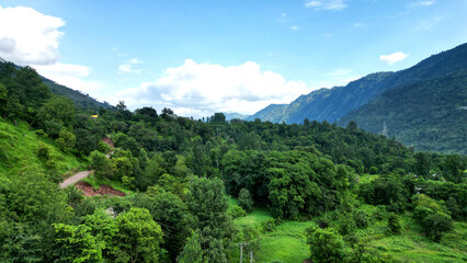Naklejka premium Peaceful, lush green landscape