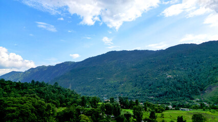 Peaceful, lush green landscape