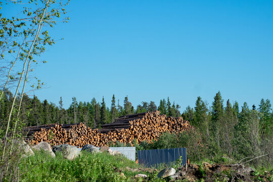 Log pile in rural Ontario Canada