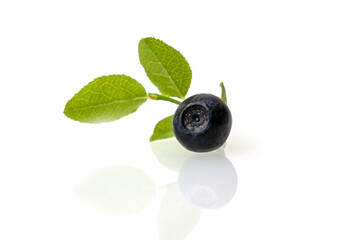 The blueberry berry is isolated on a white background. Delicious and healthy wild berry bilberries