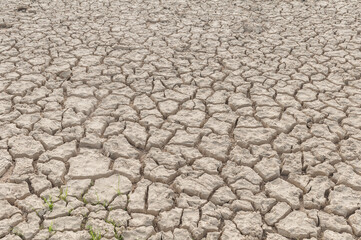 Cracked dry mud texture