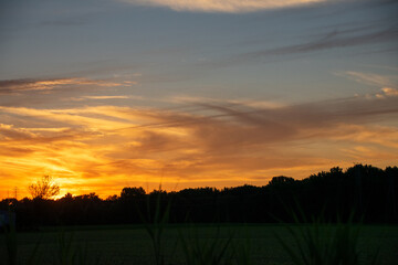 swirling clouds over the trees at sunset