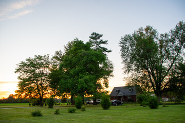 swirling clouds over the trees at sunset
