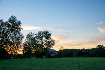 swirling clouds over the trees at sunset