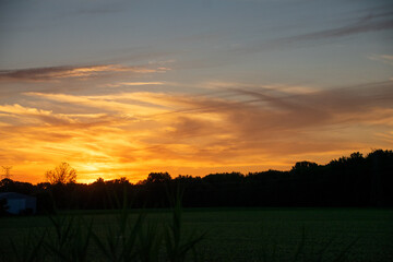 swirling clouds over the trees at sunset