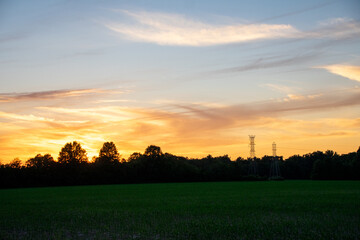 swirling clouds over the trees at sunset