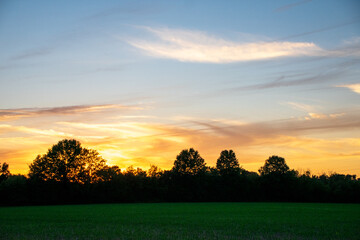 swirling clouds over the trees at sunset