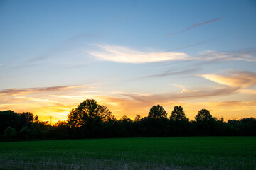 swirling clouds over the trees at sunset