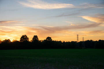 swirling clouds over the trees at sunset