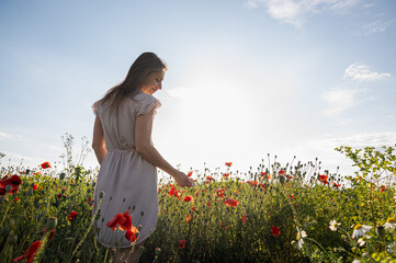 Back view of a woman walking in a sunlit poppy field, looking towards the horizon. Concept of freedom, new beginnings, and looking to the future