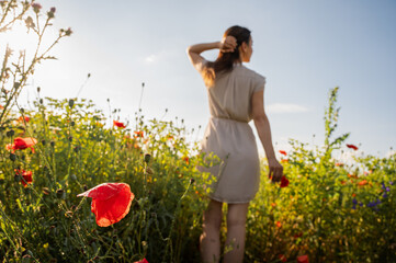 Back view of a woman walking in a sunlit poppy field, looking towards the horizon. Concept of freedom, new beginnings, and looking to the future