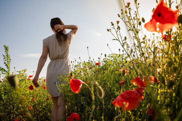 Back view of a woman walking in a sunlit poppy field, looking towards the horizon. Concept of freedom, new beginnings, and looking to the future
