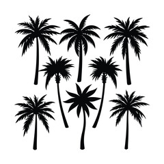 Variety Tropical Palm Tree Silhouettes