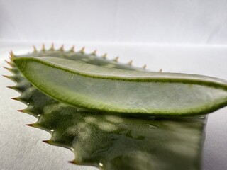 Close-up of aloe vera leaf cut open, revealing juicy gel inside. Natural healing plant, isolated...