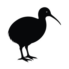 black duck isolated on white background