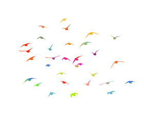 Flying colored birds silhouettes on white background. Vector illustration. isolated bird flying. tattoo design