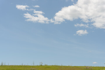 green field and blue sky