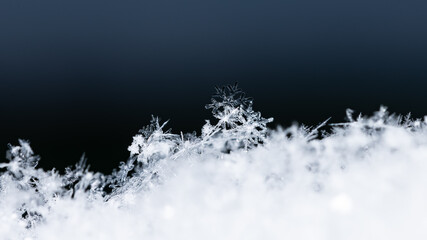snowflakes, winter card, crystals of snow