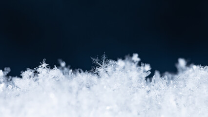 snowflakes, winter card, crystals of snow