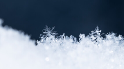 snowflakes, winter card, crystals of snow