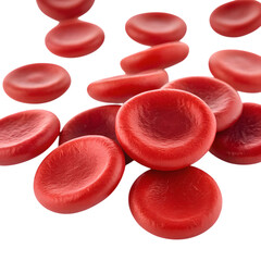 Microscopic View: Red Blood Cells - Human Biology & Medicine