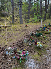 Abandoned soldier's graves from 1945 in the forest between Grzybowo and Dzwirzyno on the Baltic Sea...
