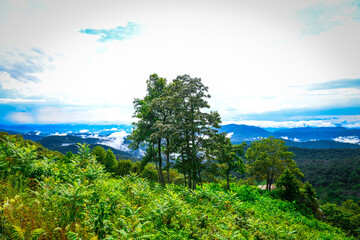 Views of Shenandoah National Park