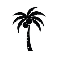 Tropical coconut palm tree silhouette with coconuts
