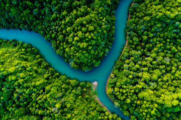 Aerial view of a winding river flowing through lush green forested landscape